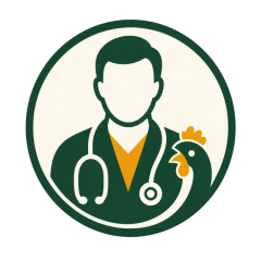 Ravi logo