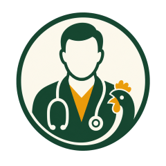 Ravi logo